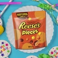 thumbnail image 4 of Friandises REESE'S PIECES, 800 g, 4 of 7