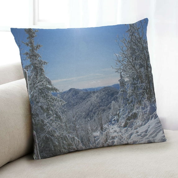 Ahgly Company State Vermont Indoor Throw Pillow, 18 inch by 18 inch