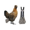 Cyber Monday Deals 2021 3 Sizes Farm Pet Goose Duck Chicken Poultry Adjustable Cloth Diaper Creative