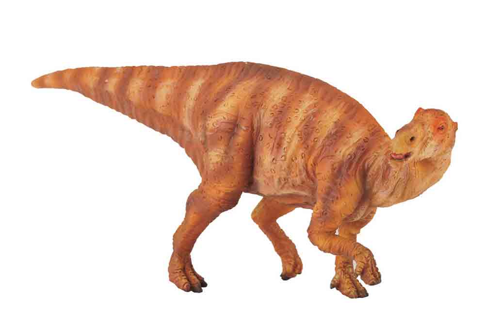 CollectA Prehistoric Life Muttaburrasaurus #88339 - image 1 of 1