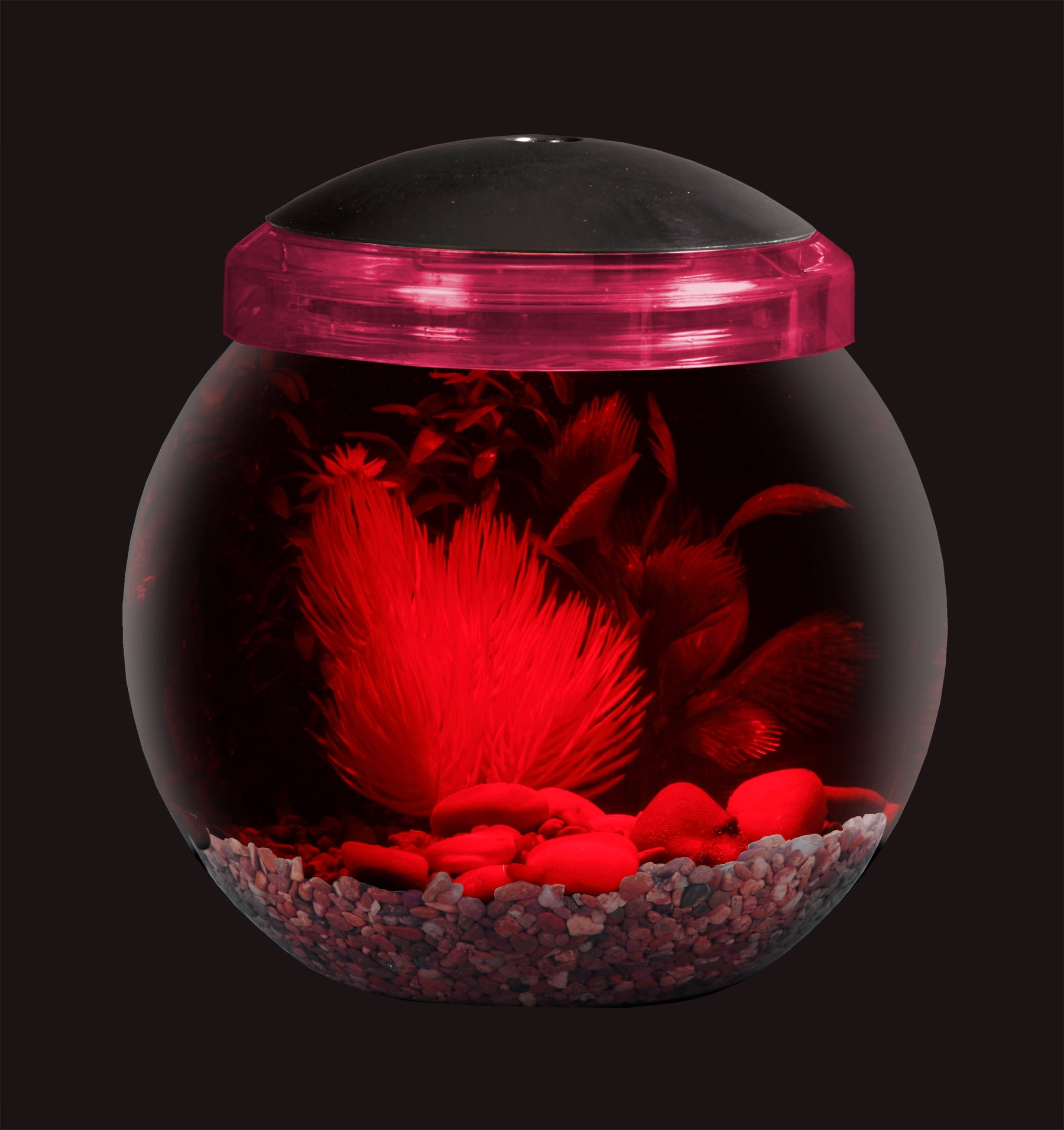 Aqua Culture 1GAL. Globe Bowl w/ LED Light, 7.25" DIA x 8.5"H Aquarium