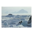 thumbnail image 1 of Alaska Cutting Board, Arctic Winter with Ice Lake Photo from the Northern Part of World Cold Wilderness, Decorative Tempered Glass Cutting and Serving Board, Large Size, White Brown, by Ambesonne, 1 of 1