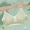 Green, variant on Antinious Women Solid Non Closure Adjustable Strap Wireless Breathable Comfortable Bras