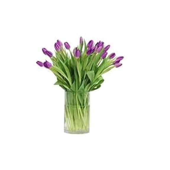 KaBloom :30 Purple Tulips with vase, Next-Day Delivery, Gift for Every Occasion.