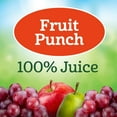 Juicy Juice 100 Juice, Fruit Punch, 8 Count, 6.75 FL OZ Juice Boxes