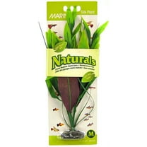 Marina Silk Pickerel Aquarium Plant - Green [Aquarium, Plants Marine] Medium (8" Tall)