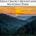 thumbnail image 3 of CafePress - Great Smoky Mountains National Park T Shirt - 100% Cotton Ringed T-Shirt, 3 of 4