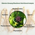 thumbnail image 4 of Siberian Ginseng Powder 4:1 Extract, 4 of 9