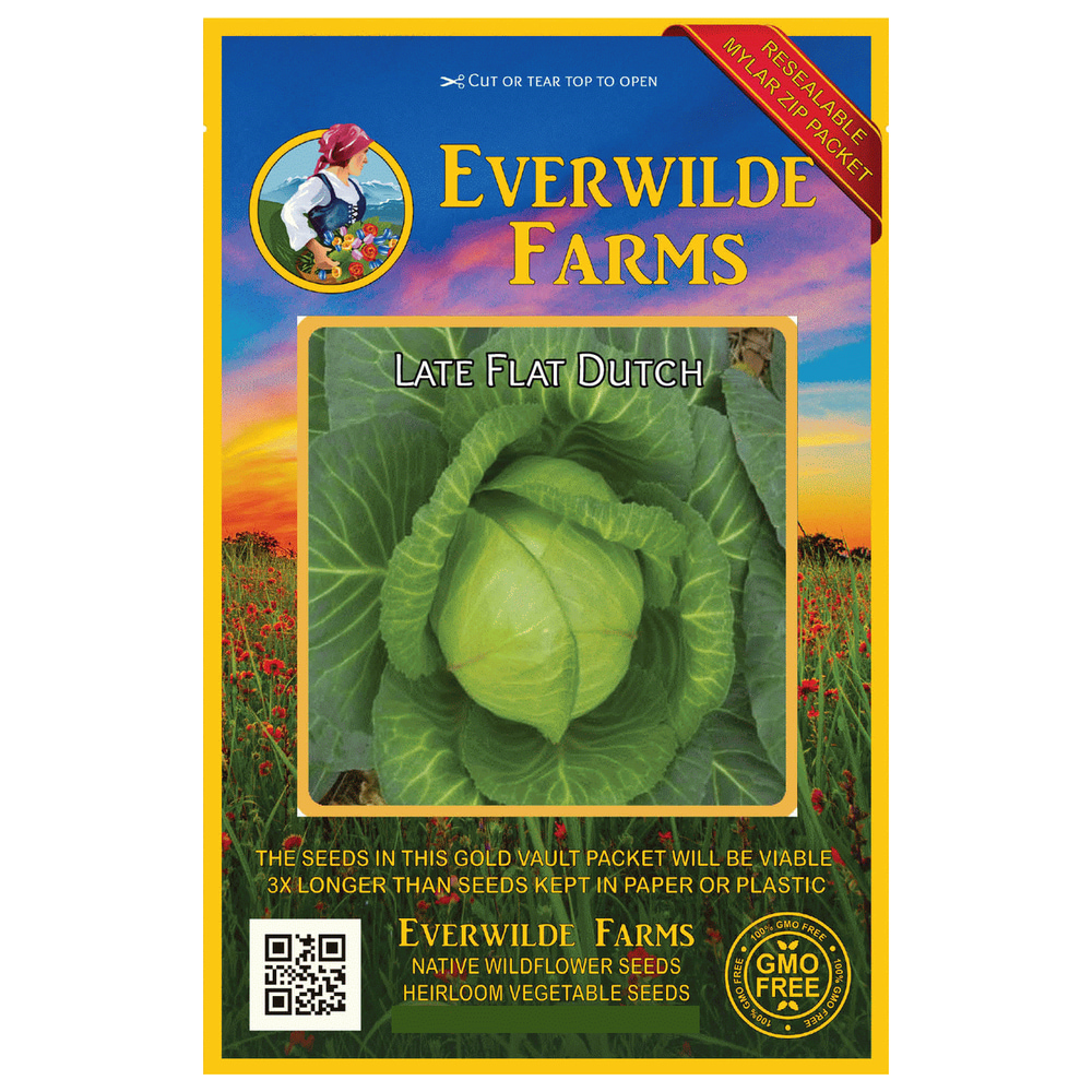 Everwilde Farms 500 Late Flat Dutch Cabbage Seeds Gold Vault Jumbo
