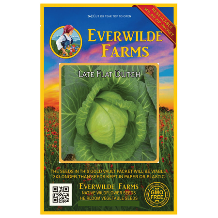 Everwilde Farms - 500 Late Flat Dutch Cabbage Seeds - Gold Vault Jumbo Bulk Seed Packet
