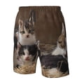 thumbnail image 5 of Naloa Cat Family Men's Beach Shorts, Surfing shorts, Swim trunks, Quick Dry Swim Trunks for Surfing Beach Fun - Medium, 5 of 9