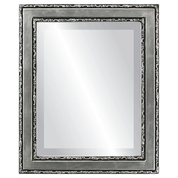The Oval and Round Mirror Store Monticello Framed Rectangle Mirror in Silver Leaf with Black Antique - Silver/Black