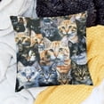 thumbnail image 2 of BANET  Throw Pillow Covers Watercolor Cats Decorative Cushions Cover, Soft &amp; Breathable Short Plush Pillowcase for Bedroom Sofa Home Decor 18x18in, 2 of 5
