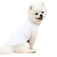 thumbnail image 1 of Desiderio Chaleco para mascotas de 2 piezas, chaleco fresco para perros, chaleco cómodo y transpirable, 1 of 5