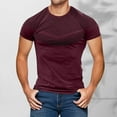 thumbnail image 2 of ShomPort Short Sleeved Tight Shirts for Men Roundneck Solid Color Tees Athletic Casual Tops, 2 of 4