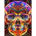 thumbnail image 1 of Cuadros Decorativos Diamante Pintura 5D JShteea Nuevos Originales, 1 of 9