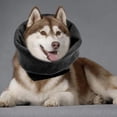 thumbnail image 4 of para de Perro para Reducir , Capucha para Mascotas, Negro L Gloria  Cubierta de orejas de mascotas, 4 of 8
