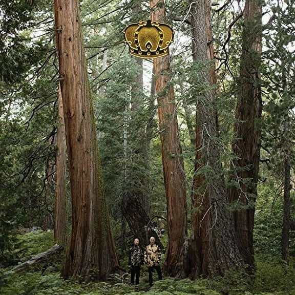 DJDS - Stand Up and Speak - Music & Performance - Vinyl