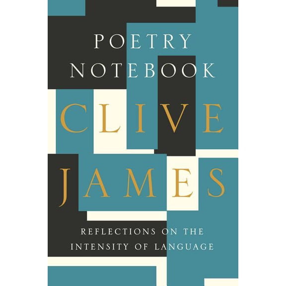 Poetry Notebook: Reflections on the Intensity of Language (Hardcover)
