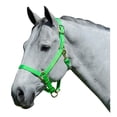 thumbnail image 4 of Intrepid International 1ZAS35RD Nylon Horse Halter, Yearling - Red, 4 of 7