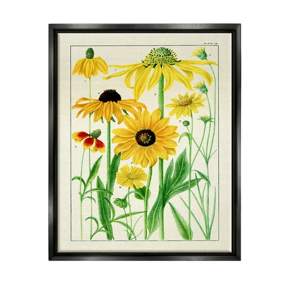 Stupell Industries Vintage Yellow Daisies Botanical & Floral Painting Black Floater Framed Art Print Wall Art, 17 x 21