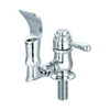 Central Brass 0364-L Single Station Indoor/Outdoor Water Fountain - Chrome
