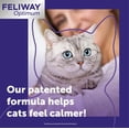 thumbnail image 2 of FELIWAY Optimum  Diffuser Refill 2 Refills 48ml Each, 2 of 5