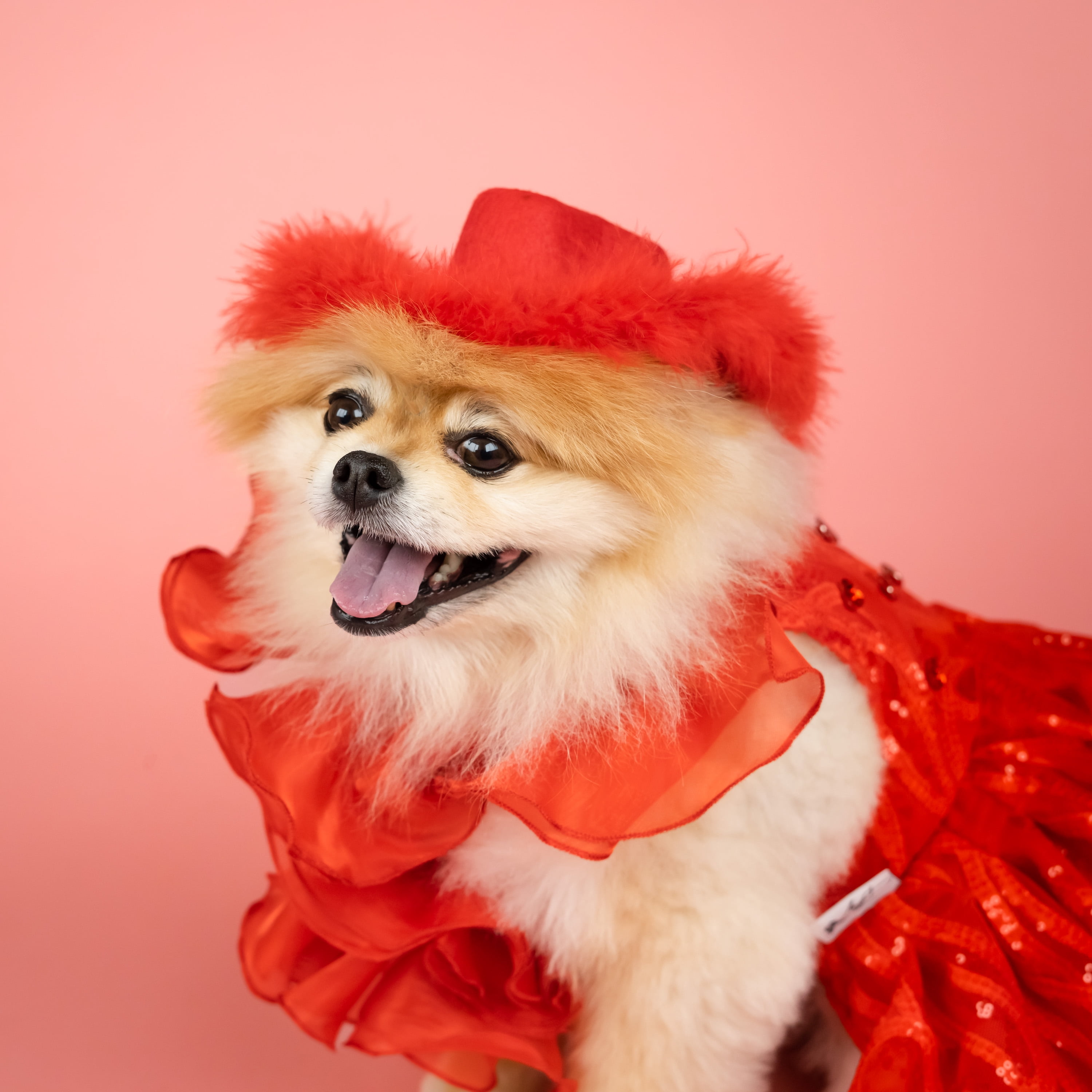 Doggy Parton, Dog Clothes, Fur Trimmed Cowboy Pet Hat, Red, L/XL