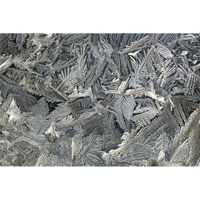 Frost Crystals On A Window - Calgary, Alberta, Canada Poster Print, 19 x 12