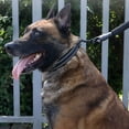 thumbnail image 6 of LNJBABAO 3 Pcs Reflective Dog Collar for Small Medium Large Dogs Black S, 6 of 7