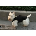 thumbnail image 2 of Healers Dog Anxiety Vest and Body Wrap,Front Module, helps reduce anxiety and protect pet post surgery, Pet Apparel,XXS, 2 of 7