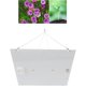 thumbnail image 1 of LED Grow Lights for Indoor Plants IP65 Waterproof Full Spectrum Plant Growth Lamps for Seedling, Veg and Flower AC100-277V EU Plug,DUBUNS, 1 of 5