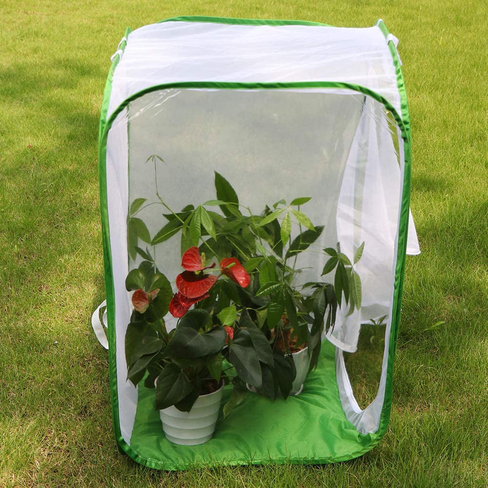 Collapsible Caterpillar Habitat with 5 Mesh Panels for Airflow Pop Up Butterfly Kit 24 x 24 x 36 Inches SHIGUANG 36 Tall Large Monarch Butterfly Cage 