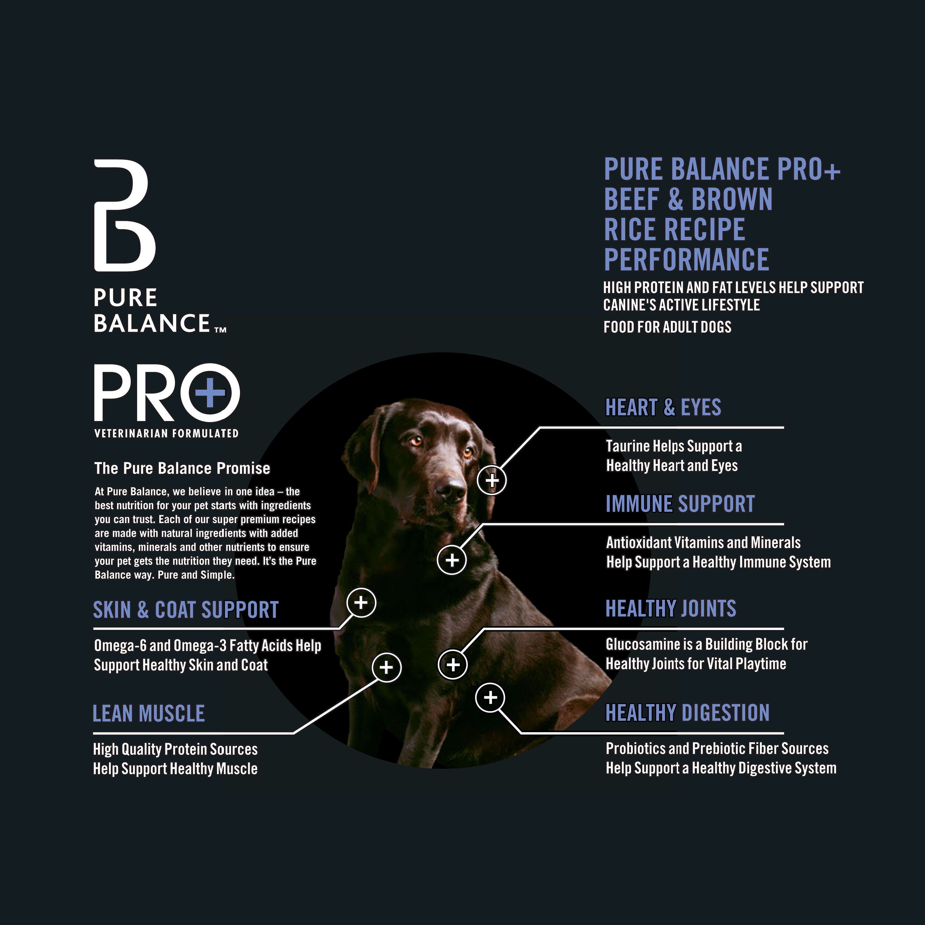 Pure Balance Pro+ Performance Beef & Brown Rice Recipe Dry Dog Food, 16 lbs