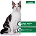 Advantage Topical Flea Prevention For Large Cats 9 lbs+, 2Monthly