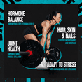 thumbnail image 6 of Universal Nutrition Animal Alpha F Dietary Supplement - 30 Packs, 6 of 9
