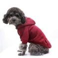 thumbnail image 3 of PEACNNG Winter Essentials  Cozy Knit Pullover Sweater for Small Dogs  Stylish & Easy-Care, 3 of 7