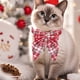 thumbnail image 4 of Festive Pet Dog Collar with Bells and Bows, Christmas Holiday Winter Party Decoration for Small Medium Dogs, Cute Soft Knitted Neckwear for Puppy Cat Photo Props, 4 of 6