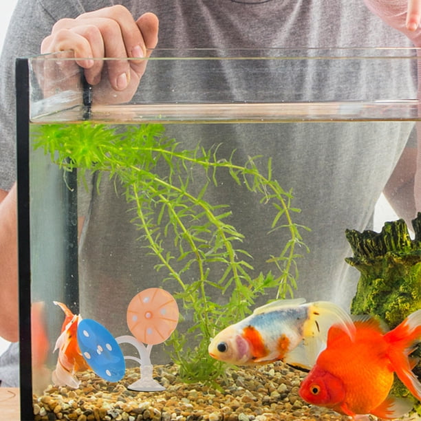 unbranded Para Acuario Con De Hongo Azul Para Descanso De Peces Betta