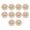 A, variant on Easy Install Natural Solid Circular Floral Relief Carving Wall Art Piece Suitable For Traditional Interior Styling
