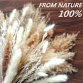thumbnail image 3 of 100 Pcs Pampas Grass for Boho Home Room Decor, 17" Neutral Dried Pompas Flowers for Western Modern Bedroom Table Bathroom Wedding Baby Shower Décor, 3 of 7