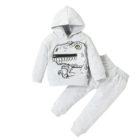 

Boy Outfits Kids Boys Casual Fashionable Long Sleeves Cute Cartoon Prints Hooded Sweatshirts Top Pants 2Pcs Set Outfit