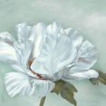 thumbnail image 2 of Broome, Marianne 26x26 Gold Ornate Wood Framed with Double Matting Museum Art Print Titled - Precious Peony II, 2 of 4