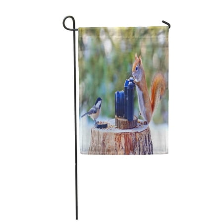 KDAGR Red Funny Photographer Squirrel and Model Chickadee Bird Vintage Garden Flag Decorative Flag House Banner 28x40 inch