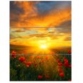 thumbnail image 2 of Bright New Day over Poppy Fields - Impression sur Toile Florale, 2 of 3