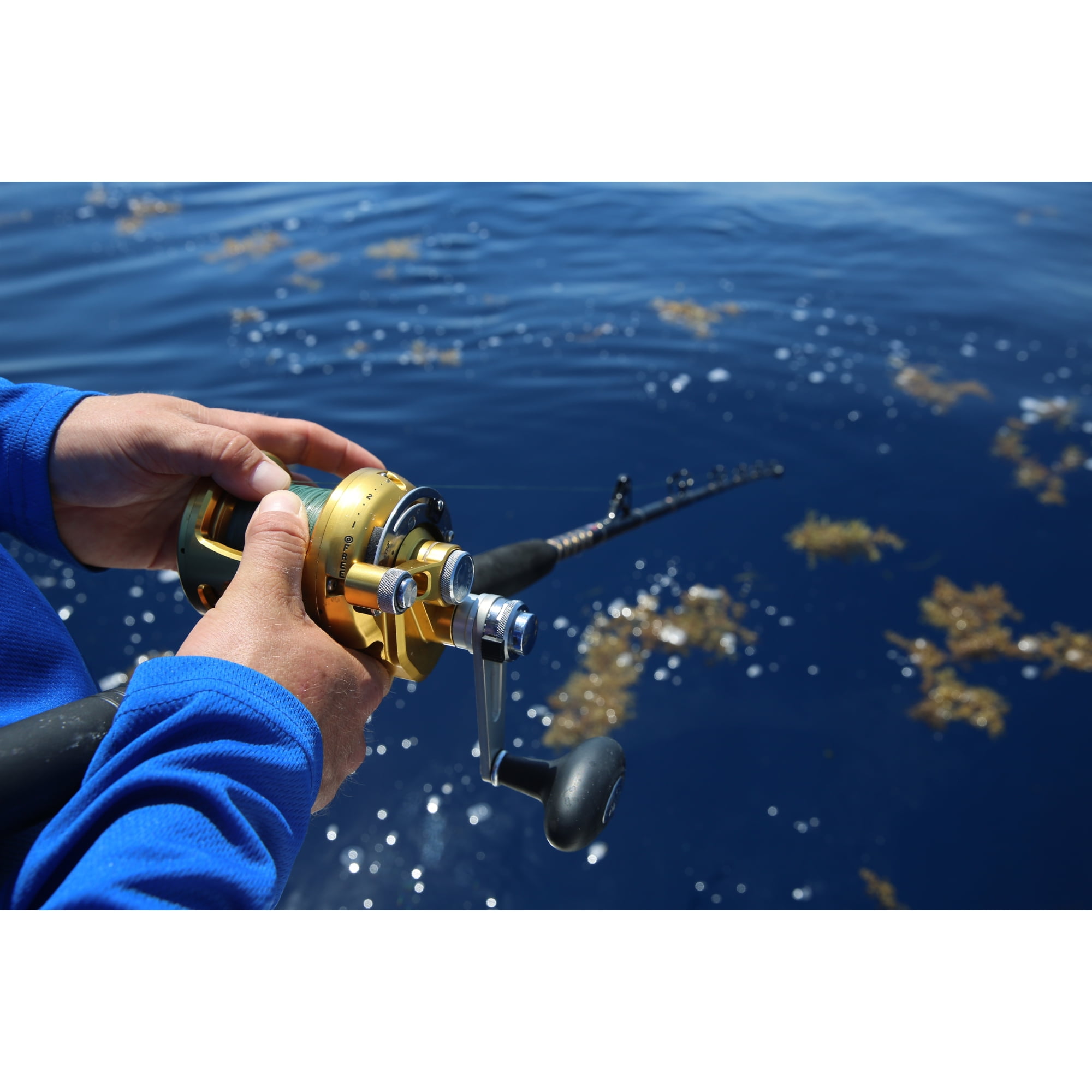 PENN International® VISW Reel, 30 Size Fishing Reel
