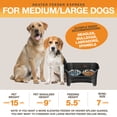 thumbnail image 5 of Neater Pets Neater Feeder Express Mess-Proof Elevated Food & Water Bowls for Medium to Large Dogs, Black, 5 of 11