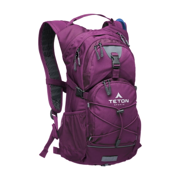 Teton Oasis 18L Hydration Pack - Plum