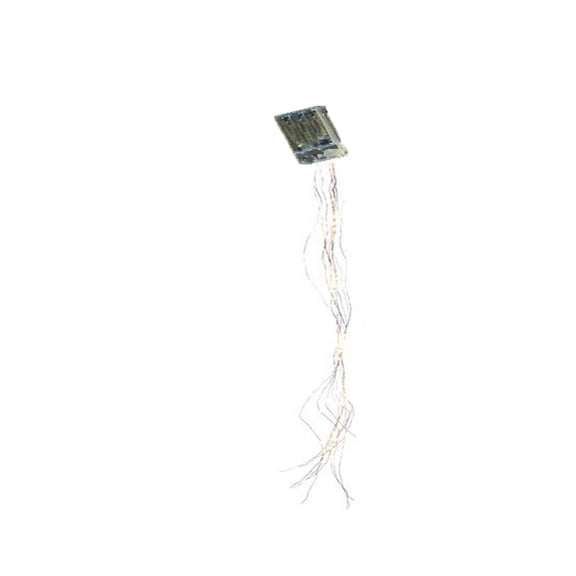 LIERTOUR Star type Garden Art Light Decoration with 5 Strip Light String for Outdoor Garden and Home Office Maintenance and Patio Atmosphere and Social Gear colorful