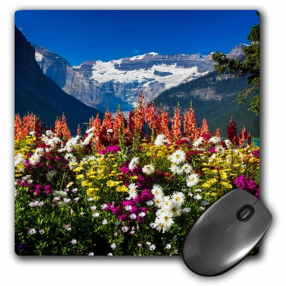 3dRose, Flowers at Lake Louise, Banff National Park, Alberta, Canada, MousePad